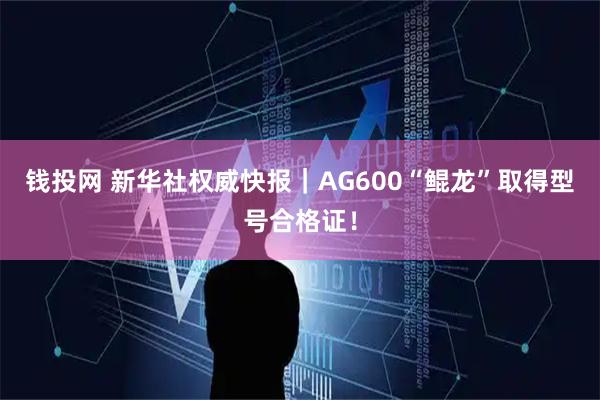 钱投网 新华社权威快报｜AG600“鲲龙”取得型号合格证！